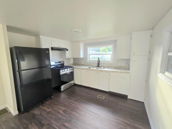 1969 Skyline Mobile Home