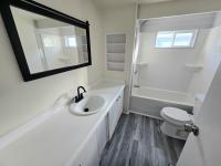 1969 Skyline Mobile Home