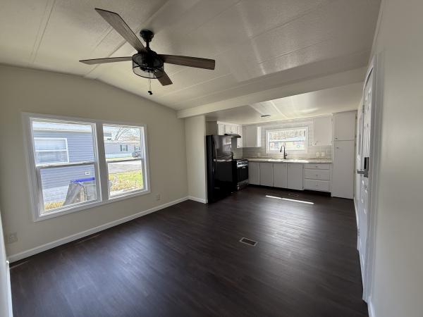 1969 Skyline Mobile Home