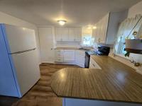 1967 SKYLINE n/a Mobile Home