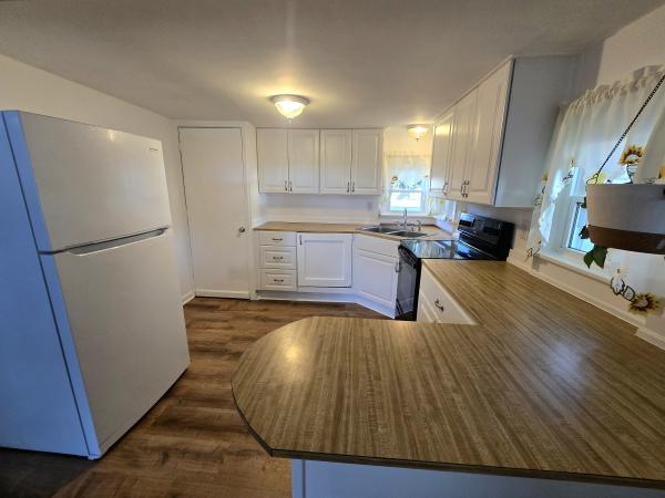 1967 SKYLINE n/a Mobile Home