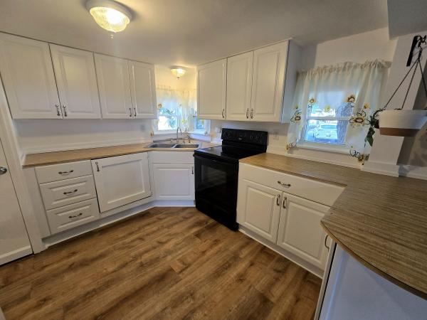 1967 SKYLINE n/a Mobile Home