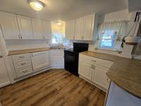 1967 SKYLINE n/a Mobile Home