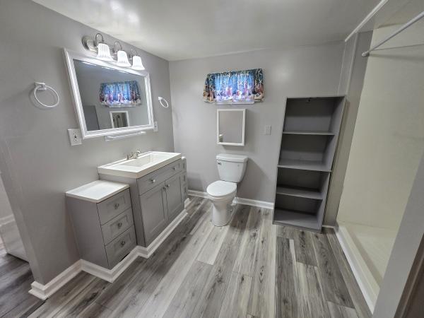 1967 SKYLINE n/a Mobile Home