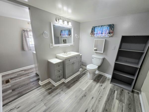 1967 SKYLINE n/a Mobile Home