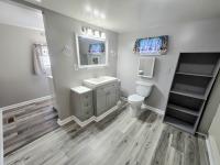 1967 SKYLINE n/a Mobile Home