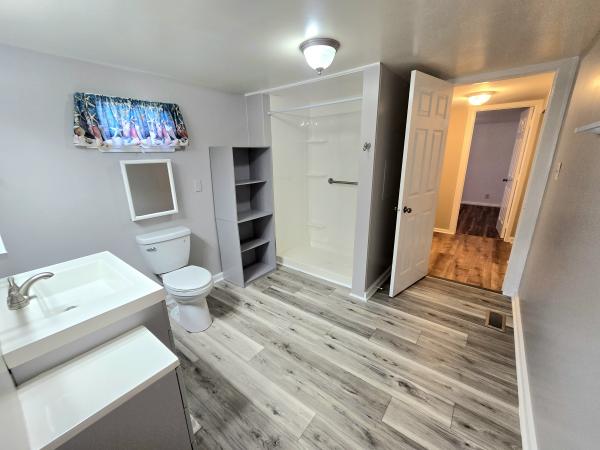 1967 SKYLINE n/a Mobile Home