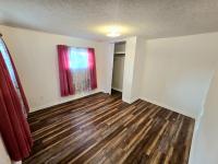 1967 SKYLINE n/a Mobile Home