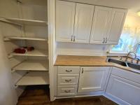 1967 SKYLINE n/a Mobile Home