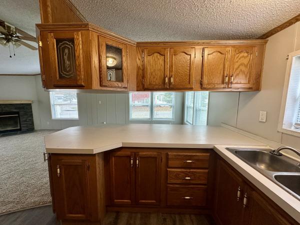 1996 Skyline Mobile Home