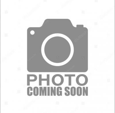 Mobile Home at 399 Circle Dr Lot 336 Deland, FL 32724