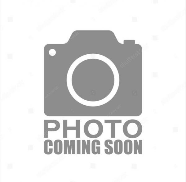 Photo 1 of 1 of home located at 399 Circle Dr Lot 336 Deland, FL 32724