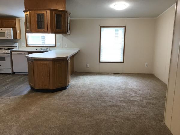 2001 Skyline Mobile Home