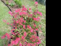 1983 SUNM HS Mobile Home