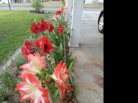 1983 SUNM HS Mobile Home