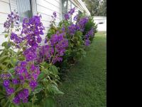 1983 SUNM HS Mobile Home