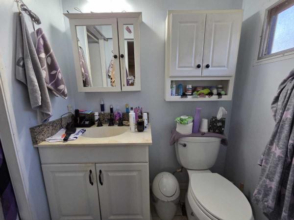 1970 DELO Mobile Home