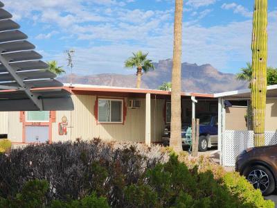 Photo 2 of 20 of home located at 2605  S Tomahawk Road, Lot 254 Apache Junction, AZ 85119