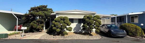 1970 Skyline Move In CUTE Mobile Home