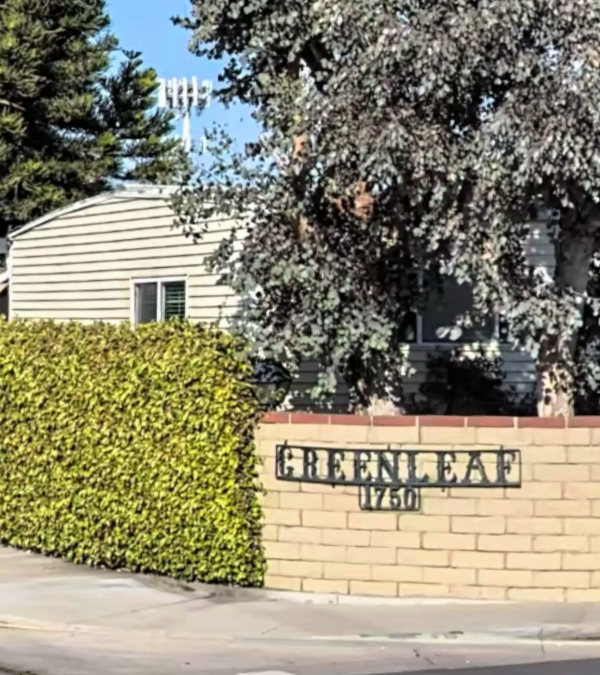 1970 Skyline Move In CUTE Mobile Home