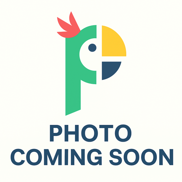 Photo 1 of 2 of home located at 359 Cheney Hwy Unit 354 Lily Titusville, FL 32780