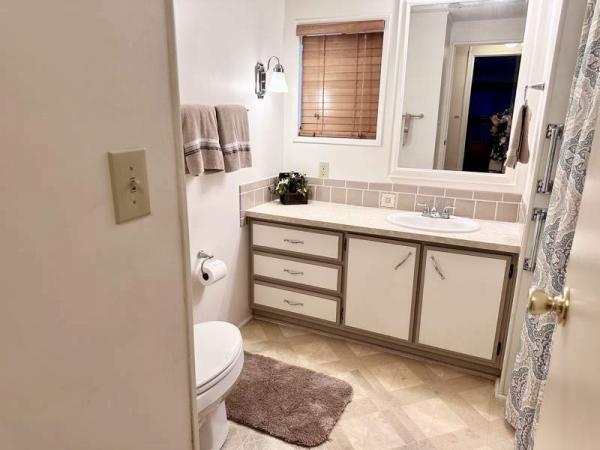 1978 Skyline Manufactured Home