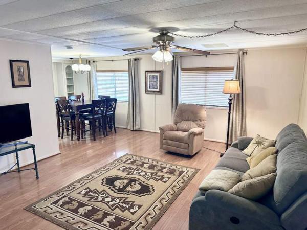 1978 Skyline Manufactured Home