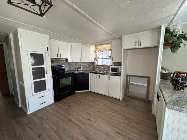 1968 Skyline Mobile Home For Sale