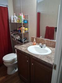 2017 Skyline Mobile Home