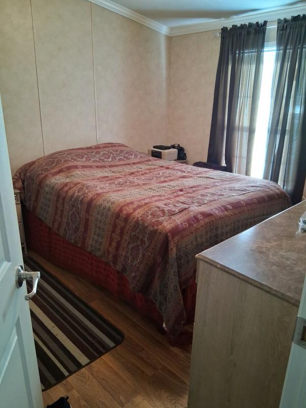 2017 Skyline Mobile Home