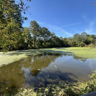 Mobile Home at 150 English Lane Thomasville, GA 31792