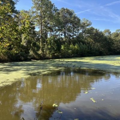 Mobile Home at 150 English Lane Thomasville, GA 31792