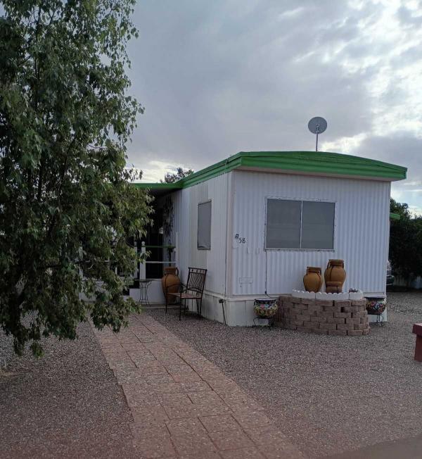 1969 Skyline Manufactured Home