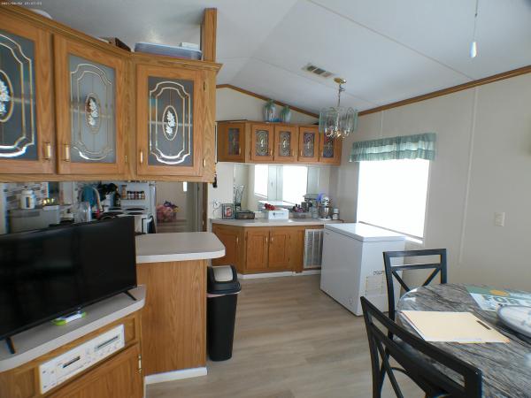 2001 Other SKYO Mobile Home