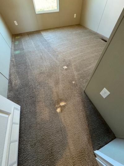 Photo 4 of 5 of home located at 665 Painter Rd Fall Branch, TN 37656