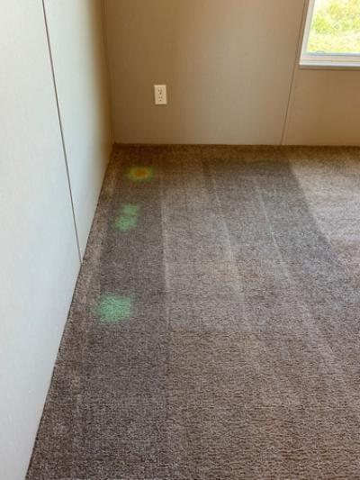 Photo 5 of 5 of home located at 665 Painter Rd Fall Branch, TN 37656