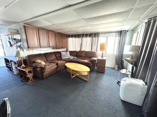 1980 Skyline Mobile Home For Sale