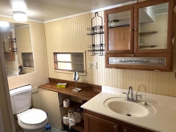 1980 Skyline Manufactured Home