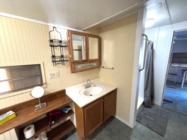 1980 Skyline Mobile Home For Sale