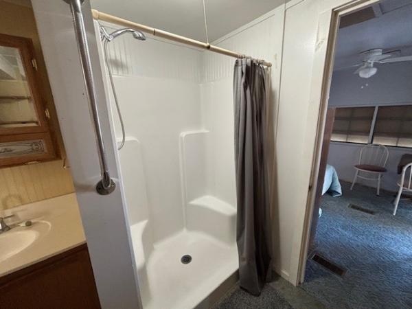 1980 Skyline Mobile Home For Sale