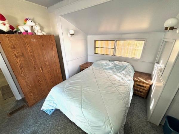 1980 Skyline Mobile Home For Sale
