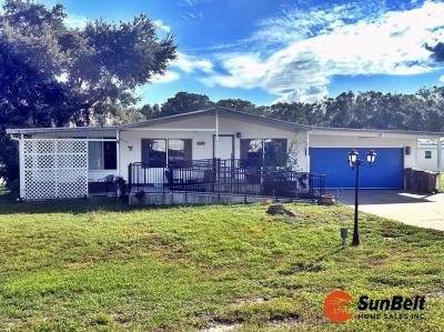 Photo 3 of 29 of home located at 28340 Skyline Drive Leesburg, FL 34788