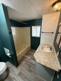 1984 Skyline Mobile Home