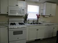 2001 Skyline Manufactured Home