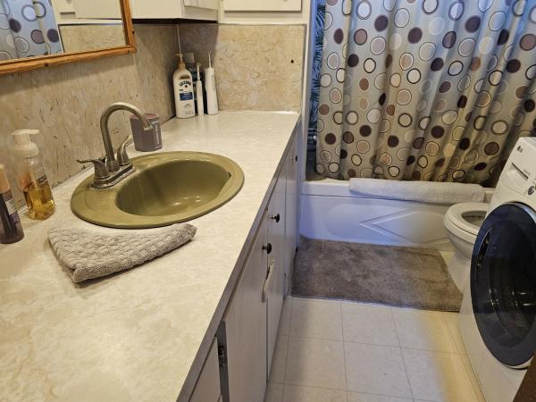 1974 Holly Park Mobile Home