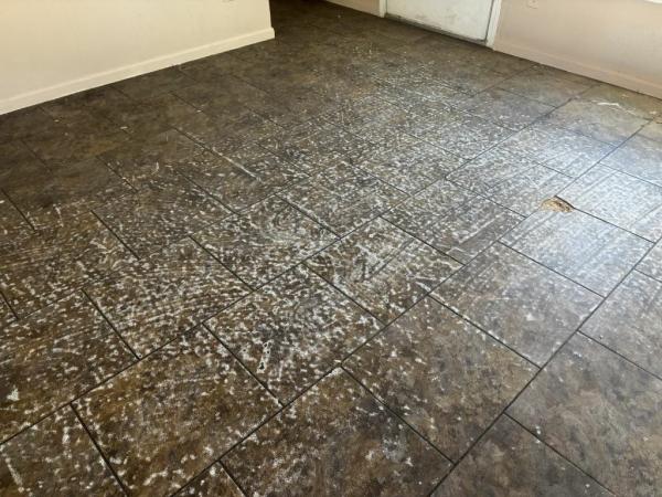 2018 Clayton Clayton - Palo Verde Mobile Home