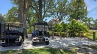 2016 PALM   Home