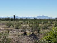 2021 Cavco Casa Bella Manufactured Home