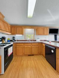 1995 Patriot Homes Manufactured Home