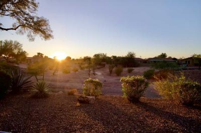 Photo 2 of 20 of home located at 7373 East Us Highway 60, 211 Gold Canyon, AZ 85118